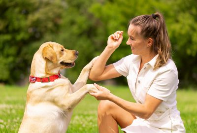 Communiquer autrement avec ton chien : et si tu changeais juste de mots ?