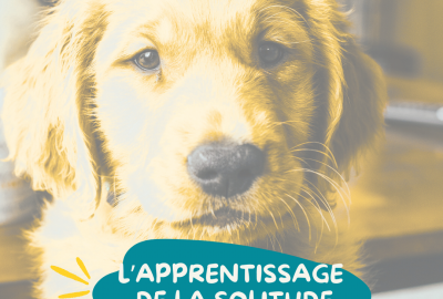 La solitude et le chien : comment gérer les absences sans culpabiliser et sans stresser ?