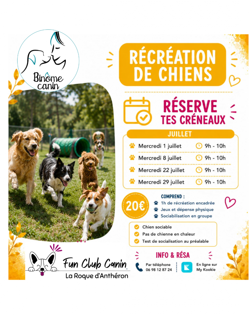 RECREATION DE CHIENS